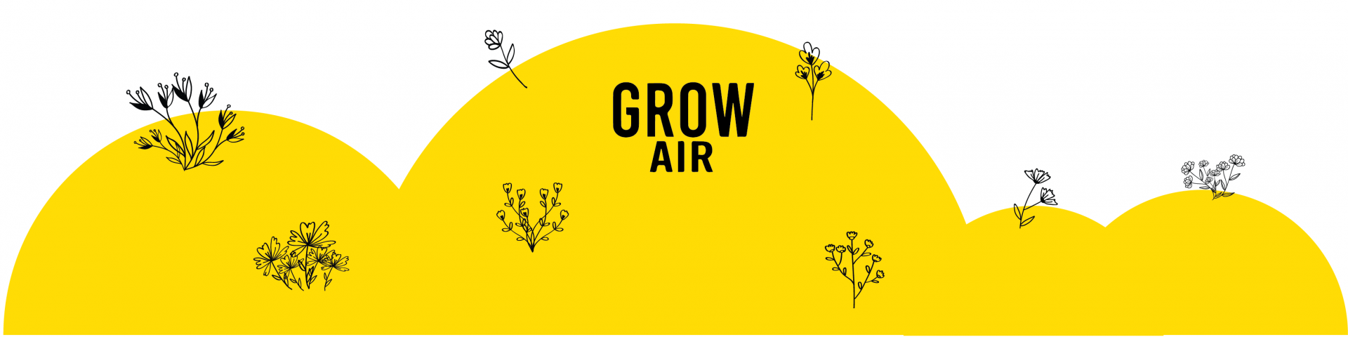 Grow Air